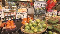 いい旅教えて！豊橋 お買い物旅♪