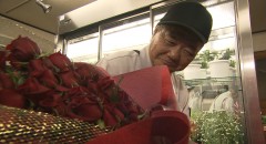 ワガママ聞いて！大徳さん　お千代保稲荷編