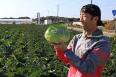 お料理作って！大徳さんパート２　今日の食材：キャベツ