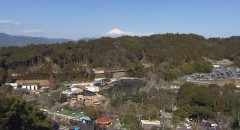 いい旅教えて！春の静岡 大満喫旅♪