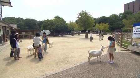 見に来て！東山公園周辺