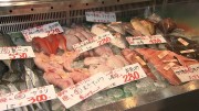 岡大徳さん 商店街でワォ！～滝子商店街〈前編〉～