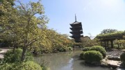 いい旅教えて！大徳さん　　京都　秋の大人旅！