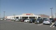 夏のコストコ　新商品全部見せます！