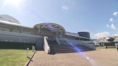 今行くべき！東海エリアの水族館