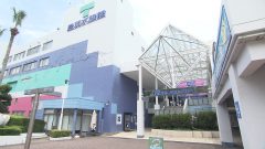 今行くべき！東海エリアの水族館