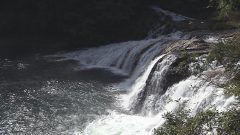 いい旅教えて！秋の三河絶景旅