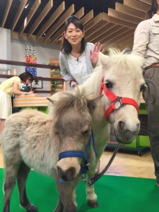 恩田と親子馬