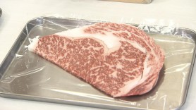 【スギモト】はんぱ肉