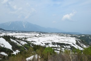 2015_06_14-立山黒部アルペンルート_52