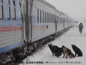 ст.Ноглики-пас.перрон_鉄道歴史博物館