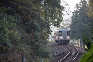 2015_10_24 明知鉄道きのこ列車_82