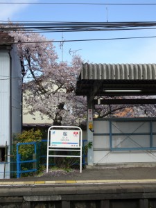 2016_04_05 桜駅の桜_4