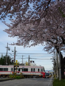 2016_04_05 桜駅の桜_14