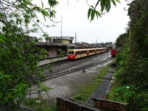 2016_03_22 阿里山森林鉄道_123