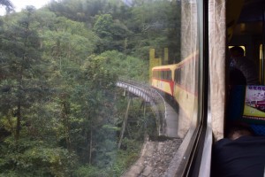 2016_03_22 阿里山森林鉄道_83