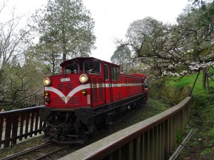 2016_03_22 阿里山森林鉄道_166