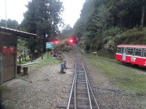 2016_03_23-1 阿里山森林鉄道祝山線_74