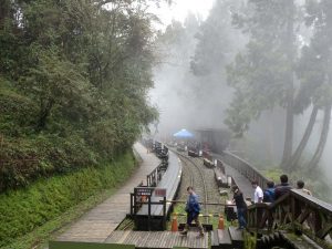 2016_03_22 阿里山森林鉄道_182