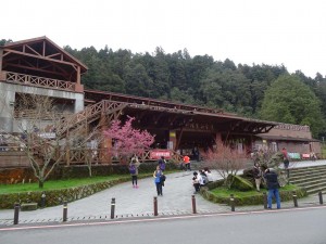 2016_03_22 阿里山森林鉄道_143