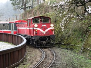 2016_03_22 阿里山森林鉄道_165