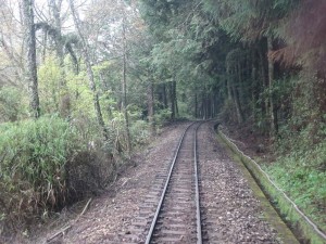 2016_03_22 阿里山森林鉄道_152