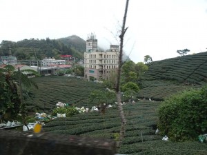 2016_03_22 阿里山森林鉄道_135