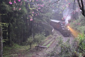 2016_03_23-2 シェイ式蒸気機関車_63