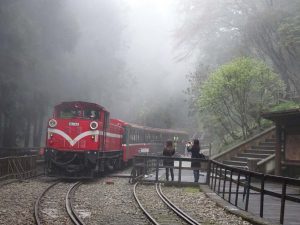 2016_03_22 阿里山森林鉄道_198