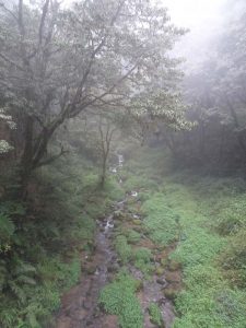 2016_03_22 阿里山森林鉄道_180