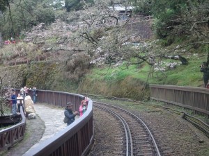 2016_03_22 阿里山森林鉄道_158