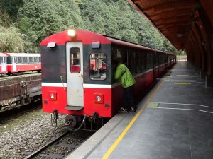 2016_03_22 阿里山森林鉄道_145