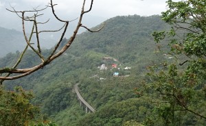 2016_03_22 阿里山森林鉄道_68