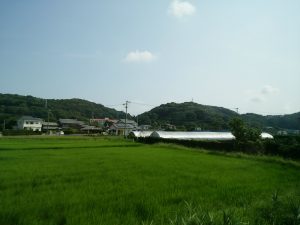 2016_08_06 遠州鉄道_4