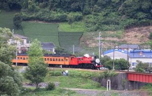 2016_08_06 大井川鐡道　撮り鉄_31