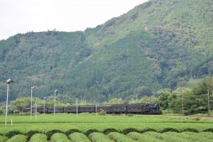 2016_08_06 大井川鐡道　撮り鉄_55