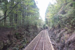 2016_10_22 明知鉄道きのこ列車_46