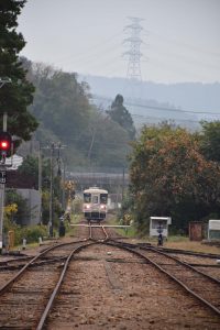 2016_10_22 明知鉄道きのこ列車_91