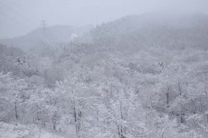 2016_11_05 石勝線～根室本線_73