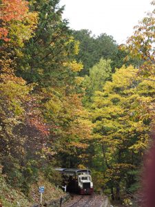 長野県上松町 赤沢森林鉄道 4 貴賓車 紅葉 中京テレビ 稲見駅長の鉄道だよ人生は 各駅停写の旅