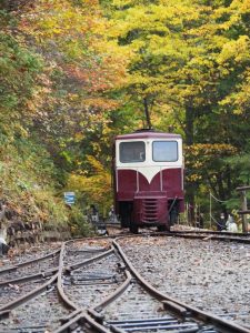 長野県上松町 赤沢森林鉄道 5 北海道から来たディーゼル機関車 中京テレビ 稲見駅長の鉄道だよ人生は 各駅停写の旅